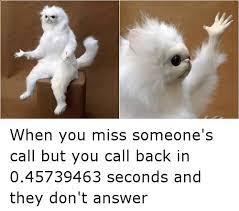 15 Hysterical Persian Cat Room Guardian Memes That Will Speak To Anyone