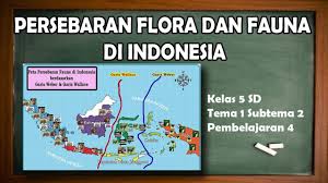 Tumbuhan yang menjadi maskot (flora identitas) provinsi kalimantan selatan ini dinyatakan telah punah in situ (extinct in the wild) oleh iucn redlist. Persebaran Flora Dan Fauna Di Indonesia Kelas 5 Tema 1 Subtema 2 Pembelajaran 4 Youtube