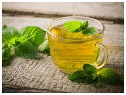 We did not find results for: Do You Know The Difference Between Peppermint And Spearmint The Times Of India