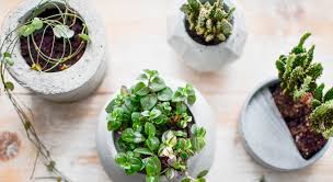 Ihr näht und bastelt gerne? Deko Aus Beton Diy Ideen Fur Die Kuche