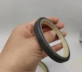 High Quality Dust Seal Dli Wiper Seals with PU NBR Material 100X115X8