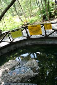 Sungai serai hot spring is native hot spring water with a temperature of more than 50℃. Sungai Klah Hot Spring Malaysia Travel 360
