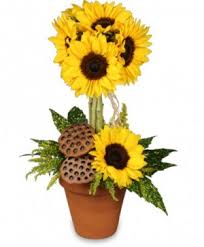 Maybe you would like to learn more about one of these? Cary Florist Cary Nc Flower Shop Gcg Flower Plant Design