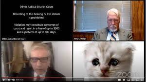 Before you hand that laptop or tablet back to your mom, maybe do the kind thing and turn off any filters. Zoom Cat Filter Fail Lawyer Appears In Court As A Kitten In Snafu
