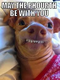 Happy Starwars Day From Tuna Funny Animal Quotes Cute Funny Animals Good Night Funny