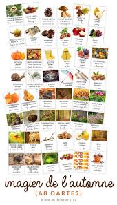 Grande Recap D Automne Livres Imagier Activites Coloriages Jeux Activites Automne Maternelle Activite Automne Fruits D Automne