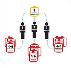 The Platelet Donation Chart American Red Cross Blood