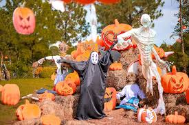 Image result for quirky halloween