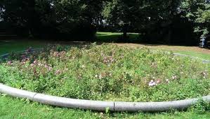Leipzig Ecken Der Volksgarten Garten Und Leipzig