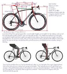 bicycle bicycle fitting guide