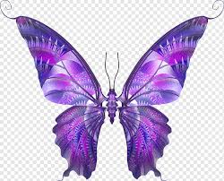 Sketsa kupu kupu adalah salah satu gambar dasar dini yang belum jadi, umumnya ia digoreskan dengan menggunakan media pensil dan sejenisnya. Serangga Menggambar Kupu Kupu Dan Ngengat Sketsa Kupu Kupu Ungu Fotografi Serangga Png Pngwing