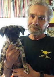 Support for dog owners who have lost their pets