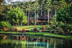 Image result