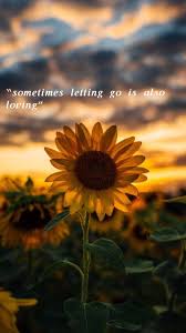 Pin By Amy Staggs On Ma Passion In 2020 Sunflower Quotes Inspirational Quotes Wallpapers Flower Quotes