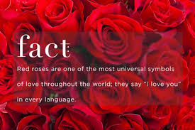 Order fresh roses, bouquets & gifts online + receive same day flower delivery. Best Way To Order Valentine S Day Flowers Blog Garden Of Roses
