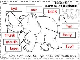 Elephants are the largest animals that live on land! A Elephant Labels By Regina Davis Teachers Pay Teachers