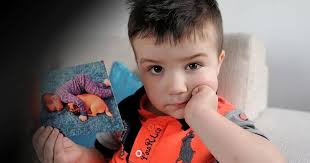 Family devastated after their dog is killed in hit and run accident