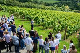 Family friendly cycle hire along the camel trail, traffic free and level. Welcome Camel Valley