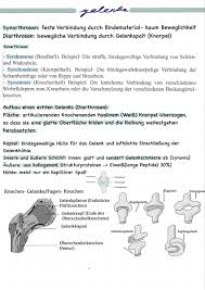 This is a preview of subscription content, log in to check access. Lernzettel Gelenke Syndesmose Physiologie Kreuzbein