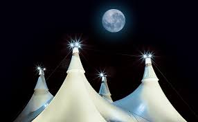 bridgeworthy cavalia is a magical mixture of cirque