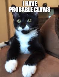 A place for pictures or text of cat based puns. 66 Cat Puns Pawsitively A Mewsing Funny Feline Vocabulary