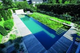 Naturpool Oder Schwimmteich Mit Biologischer Natuerlicher Wasserreinigung 25 Diy Schwimmbad Schwimmbad Designs Schwimmbader Hinterhof