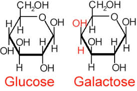 5 2 Biomass Carbohydrate Tutorial Egee 439 Alternative Fuels From Biomass Sources