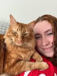 Going away in 2026? Need a house & pet sitter? My name is **Amy**, and I'm  a local in the **Emerald/Blackwater** area. I have a Certificate II in  Animal Studies (2015) and