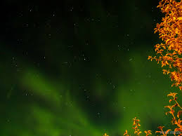 We did not find results for: Northern Lights In The Yukon Aurora Borealis Photography Tips