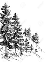 Dessin Foret De Pins Montagne D Hiver Paysage Dessin Illustration Dessin Foret Croquis De Paysage Dessin De Foret