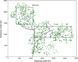 Image result for Strephonema sericeum