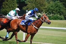 Famous horse names#horse #horsenameswe collect all these famous horses that have been part of popular history or culture. Famous Racehorse Celebrity Horse Names In History