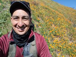 Poppy fields in our own backyard