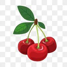 fruit summer fruit red cherry cherry fruit clipart cartoon cherry hand painted cherry png and vector with transparent background for free download fruit cartoon fruit clipart summer fruit
