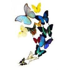 Butterfly Swarm Google Search Butterfly Artwork Paintings Butterfly Artwork Butterfly Art