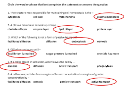 Cell Transport Review Grab Your Folder And A Highlighter On Your Way To Your Assigned Seat Take Out Something To Write With Ppt Download