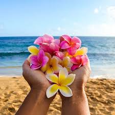 Tropical Flowers Plumeria Beach Life All Great Sources Of Inspiration For Coco Moon Hawaii Regram Via C Summer Wallpaper Flowers Flower Aesthetic
