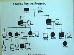 Pedigree Chart Assignment Family Pedigree Assignment