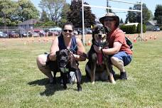Northwest Boxer Rescue @ Poochella in the Park