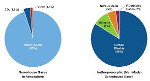 greenhouse gases bioninja