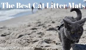 When you have cats, it's a common problem of people to deal with litter spread out in the house. The 15 Best Cat Litter Mats Of 2021 Stop Litter Tracking