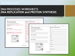Protein synthesis is a complex process made up of the 2 … Mizzzfoster S Shop Teaching Resources Tes