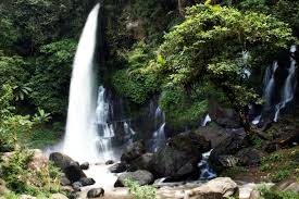 Image result for CURUG OROK