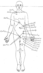 21 Shots and the Pursuit of Justice: An Imam (Luqman Ameen Abdullah) Dies  in Michigan