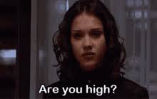 Check spelling or type a new query. Areyouhigh Gifs Tenor
