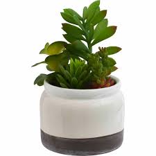 Choosing the right artificial hedges. Artificial Flowers Artificial Plants Wilko Com