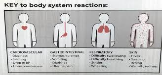 Image result for Anaphylaxis