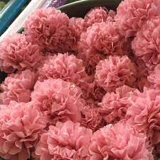 Pelamin origami sesuai jika anda menginginkan pelamin berkonsep diy disamping ia menjimatkan kos. Bunga Tisu By Efaa Posts Facebook