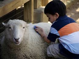 Then, we stay in touch with follow up emails and text reminders to give you the peace of. Top 5 Entertainment Options For Your Party Wannabees