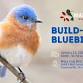 Build-a-Box Workshop at Mary Gray: Bluebirds! event image